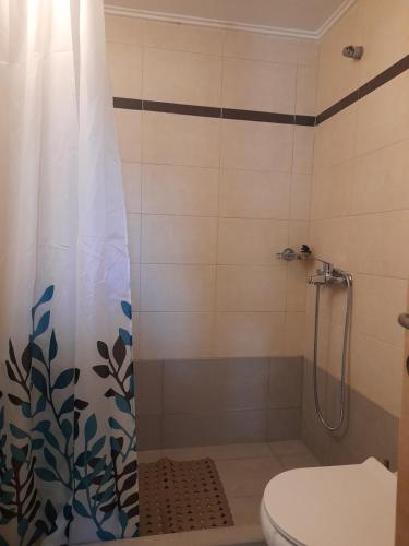 y baño con ducha, aseo y cortina de ducha. en Kalypso relaxing shelter, en Arkitsa