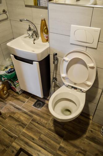 a bathroom with a toilet and a sink at Vila Alić in Šišava