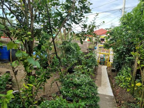 un jardín con árboles y plantas y una acera en Jethro's Staycation&resto, en Maniwaya