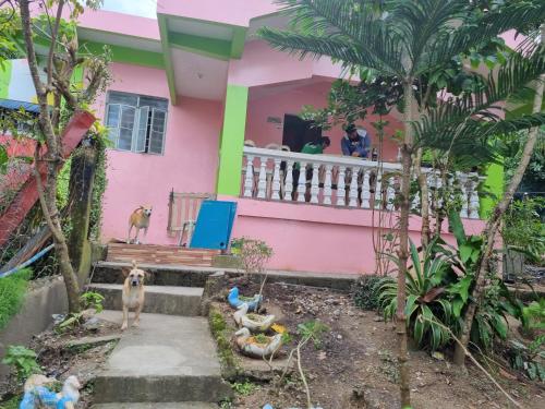 a pink house with two dogs standing on a balcony at Jethro's Staycation&resto in Maniwaya