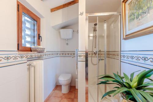 a bathroom with a shower and a toilet at VILLA LAJATICO Farmhouse with Private Pool in Peccioli