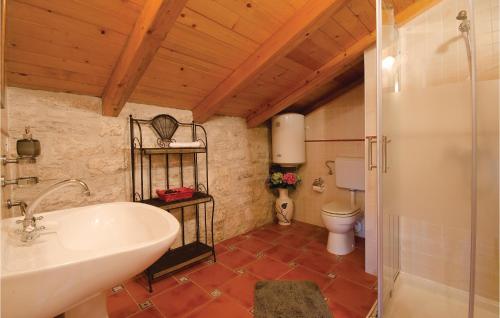 a bathroom with a sink and a toilet at Pet Friendly Home In Basici With Outdoor Swimming Pool in Bašići