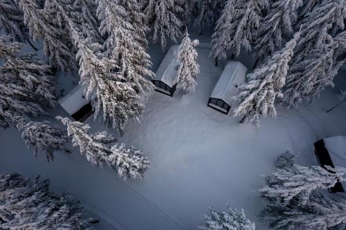 an aerial view of a snow covered forest with snow covered trees at Tumba Sisli Vadi in Kartepe