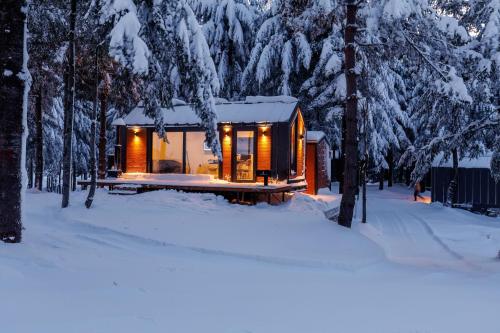 uma cabana na floresta na neve em Tumba Sisli Vadi em Kartepe