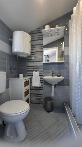 a bathroom with a toilet and a sink at Apartmani Goga in Skradin