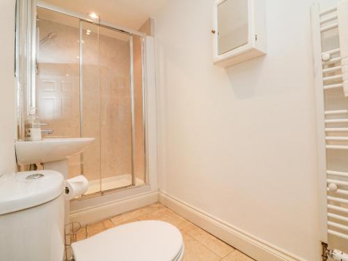 a bathroom with a toilet and a sink and a shower at Priory House Cottage in Barnstaple
