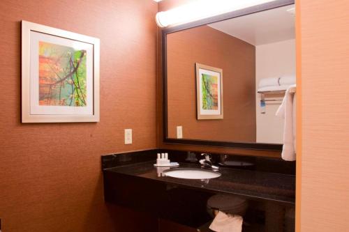 a bathroom with a sink and a large mirror at Fairfield Inn & Suites Bedford in Bedford