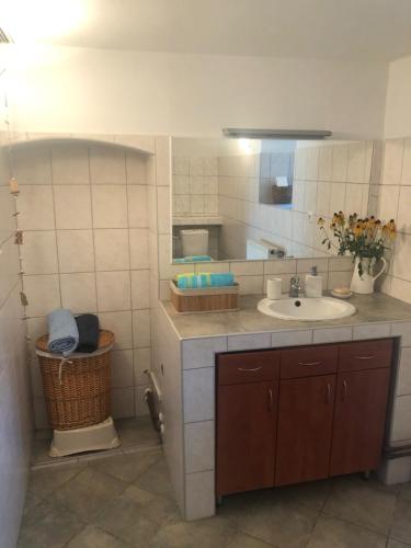ein Bad mit einem Waschbecken und einem Spiegel in der Unterkunft Ubytování Újezdec u Prachatic 