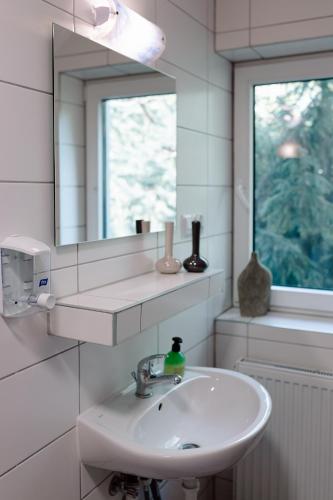 a bathroom with a sink and a mirror and a window at Domki RADAWA na Kliszówce in Radawa