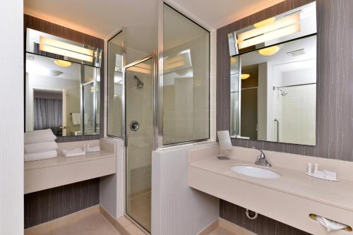 La salle de bains est pourvue d'un lavabo et d'une douche. dans l'établissement Courtyard Laredo, à Laredo