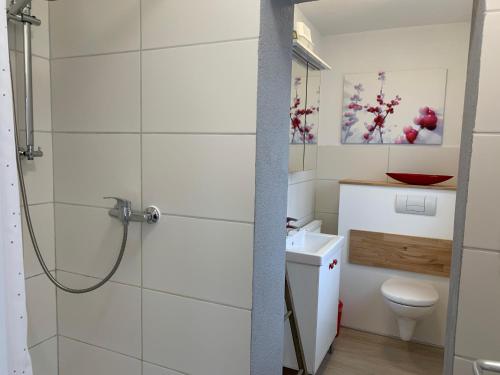a bathroom with a shower and a toilet at Helenes Ferienwohnung auf dem Bauernhof - Lausitzer Seenland in Laubusch