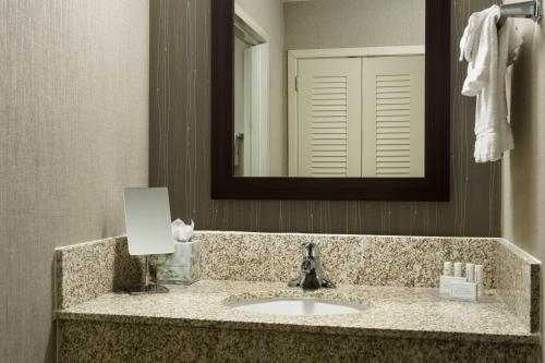 a bathroom counter with a sink and a mirror at Courtyard Houston Downtown Convention Center in Houston