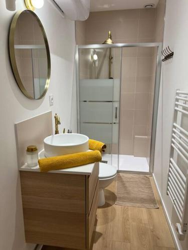 une salle de bain avec un lavabo, des toilettes et un miroir dans l'établissement Résidence du Palais, à Nevers