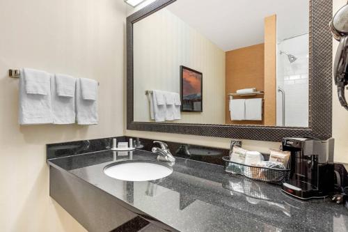 a bathroom with a sink and a large mirror at Fairfield Inn & Suites by Marriott Rockford in Rockford