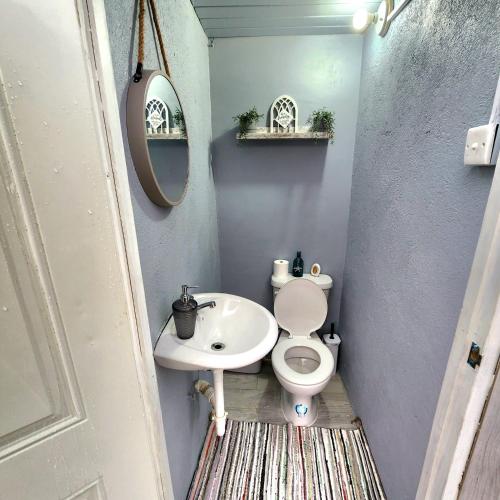 a small bathroom with a toilet and a sink at Villa Maison de Soleil in Florence Hall