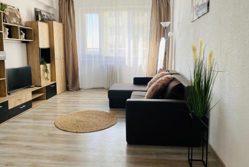 een woonkamer met een bank en een televisie bij City Center Apartments - Piața Unirii in Iaşi