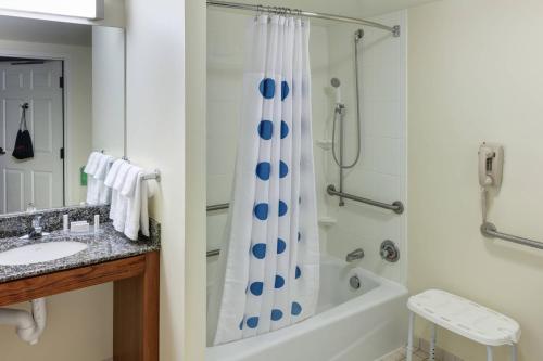 a bathroom with a shower and a tub and a sink at TownePlace Suites Suffolk Chesapeake in Suffolk