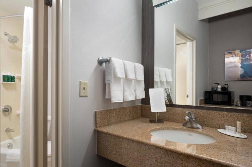 La salle de bains est pourvue d'un lavabo et d'un miroir. dans l'établissement Courtyard Syracuse Carrier Circle, à East Syracuse