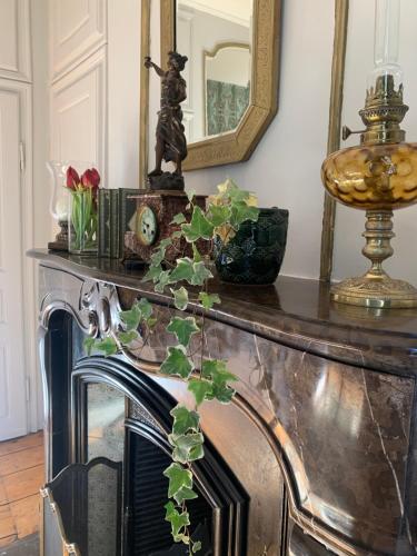 a fireplace with a mirror and a plant on it at Chambres d'hôtes du château in Boulogne-sur-Mer