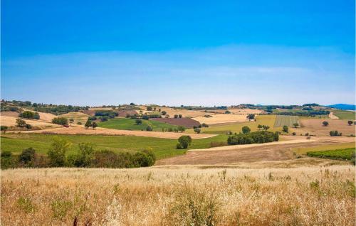 a view of a field of grass and trees at Nice Home In Lugnano In Teverina in Lugnano in Teverina