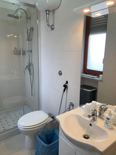W łazience znajduje się toaleta, umywalka i prysznic. w obiekcie B&B Alle porte di Caserta w mieście Caserta