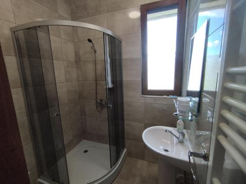 un bagno con doccia e lavandino di Pensiunea Florilor Satu Mare a Satu Mare