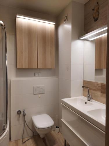 a bathroom with a white toilet and a sink at Apartament Morze Sztuki, Jantar in Jantar
