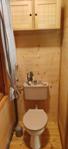 La petite salle de bains est pourvue de toilettes et d'un lavabo. dans l'établissement Hansstadl, 