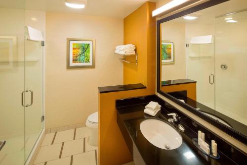 a bathroom with a sink and a mirror and a toilet at Fairfield Inn and Suites by Marriott Monaca in Monaca