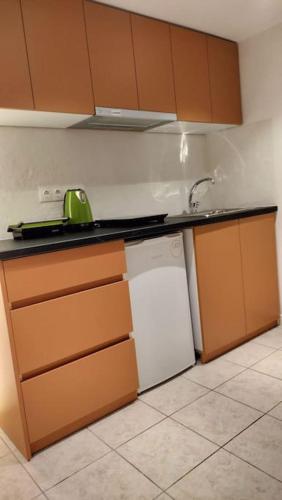 a kitchen with a white refrigerator and a sink at Elegant Maisonettes in Athens