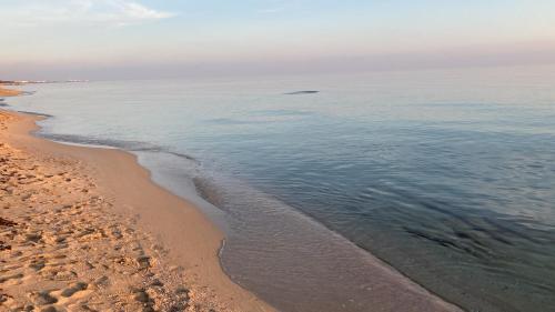 una vista aerea sulla riva di una spiaggia di CasaME’ a San Pietro in Bevagna