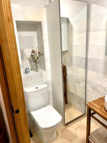 a bathroom with a toilet and a shower at Apartamento en Casa Patio "Pan y Conejo" in Córdoba