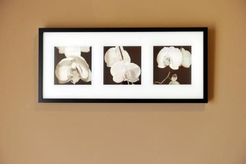 a framed picture of white flowers on a wall at M14 Hotel & Spa in Padova