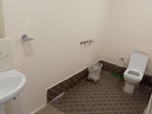 a bathroom with a toilet and a sink at IN APPLE ESTATE KANATAL - Himalayan View Resort with Courteous Staff in Kanatal