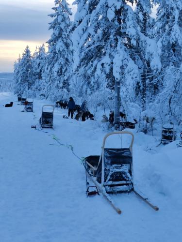 a row of chairs sitting in the snow at Villa Fregn in Ljørdal