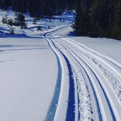 a snow covered road with tracks in the snow at Villa Fregn in Ljørdal