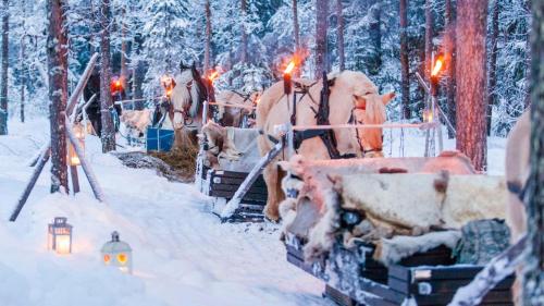a christmas display of horses in the snow at Villa Fregn in Ljørdal