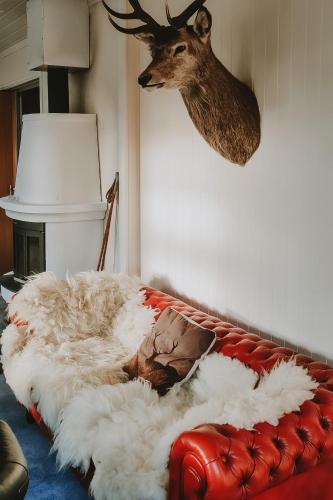 a deer head hanging on a wall next to a couch at Villa Fregn in Ljørdal