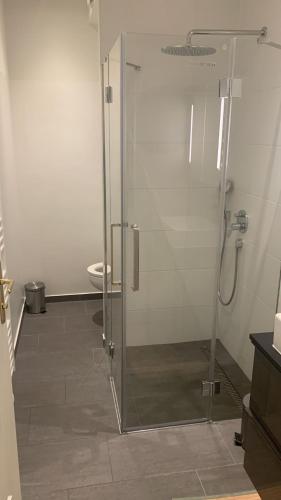 Ванная комната в Lion`s Rooms n Apartments