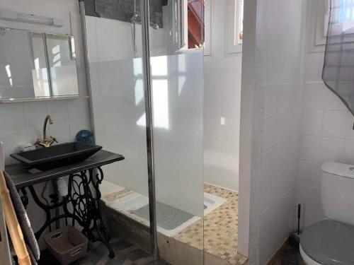 a bathroom with a shower with a sink and a toilet at gite des huskys in Tonnay-Charente
