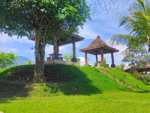 two gazebos on a grass hill with a tree at Balkondes Wanurejo in Borobudur