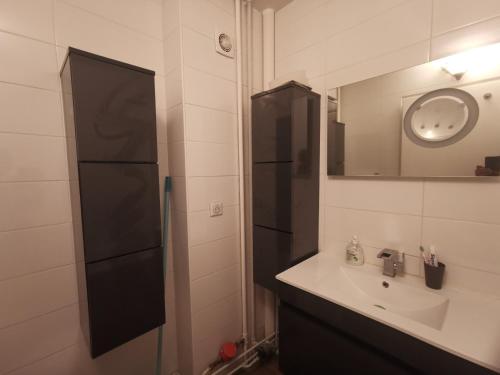 a bathroom with a sink and a mirror at Le Grand Robinson RER B in Le Plessis-Robinson