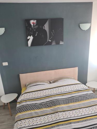 1 dormitorio con 1 cama con una foto en la pared en Mall Luxury VI Apartment, en Bacău