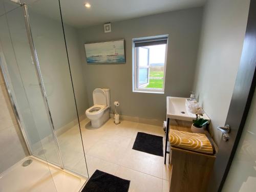 a bathroom with a shower and a toilet at The Burren Inn in Tubber