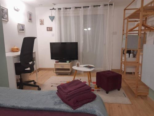 a living room with a bed and a television at Calme et simplicité in Chelles