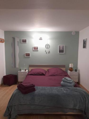 a bedroom with a large bed with purple sheets at Calme et simplicité in Chelles
