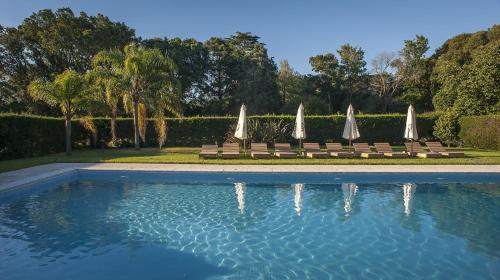 einen Pool mit Stühlen und weißen Sonnenschirmen in der Unterkunft La Baguala in Pajas Blancas