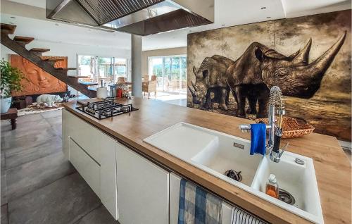 eine Küche mit einem Waschbecken und eine Wand mit einem Nashorn-Wandbild in der Unterkunft Lovely Home In Cuers With Kitchen in Cuers