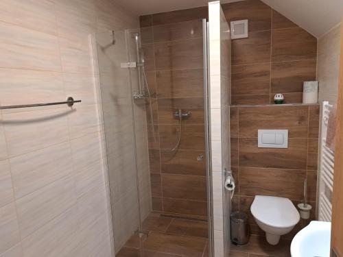 a bathroom with a shower and a toilet at Penzion Richard in Bělá pod Pradědem