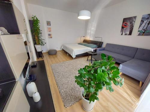 a living room with a blue couch and a plant at Podtatranskeho Old Town Košice in Košice